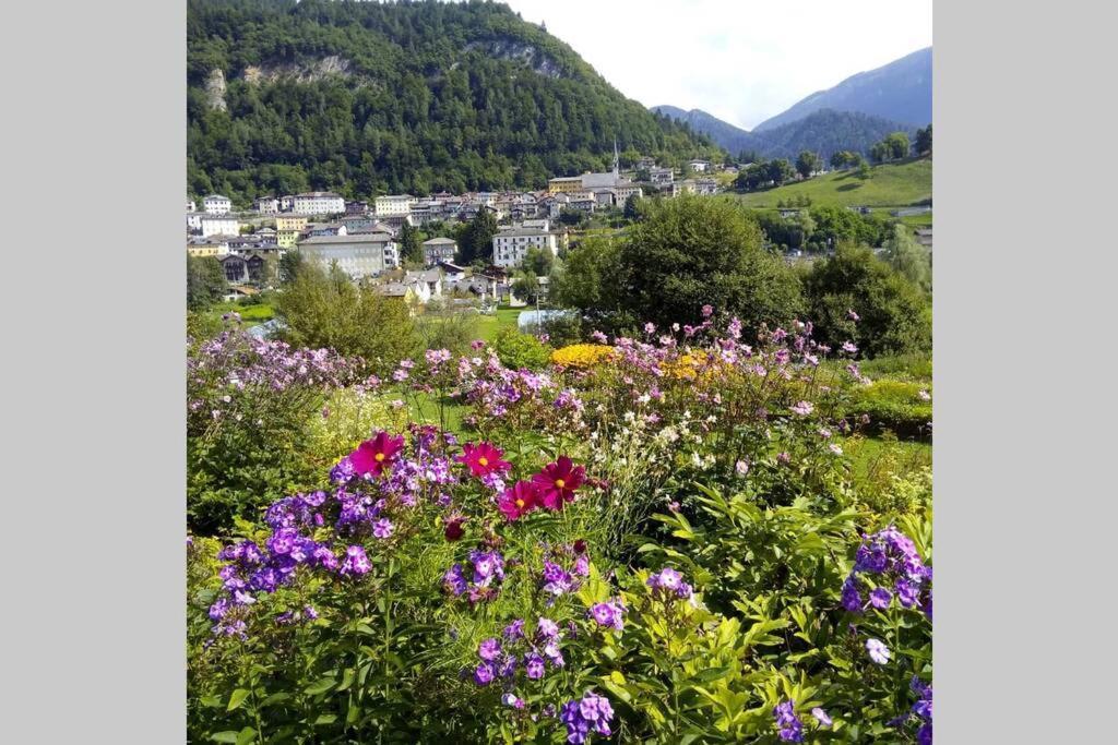 Chalet Maso Fradea Family Resort Castello Tesino Esterno foto
